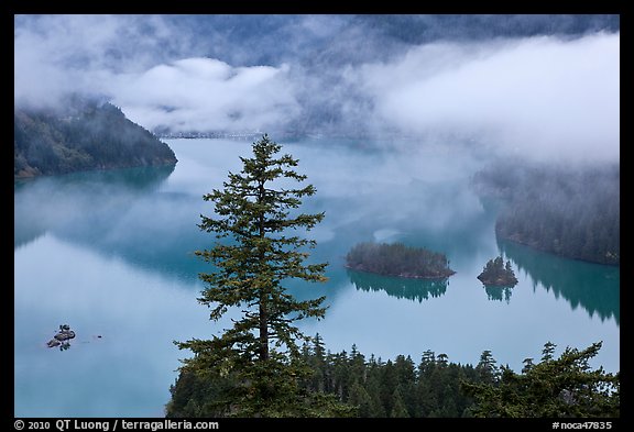 Fog hanging above Diablo Lake, North Cascades National Park Service Complex.  (color)