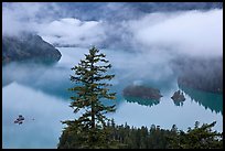 Fog hanging above Diablo Lake, North Cascades National Park Service Complex.  ( color)