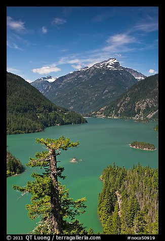 Colonial Peak and Pyramid Peak above Diablo Lake, summer morning,  North Cascades National Park Service Complex.  (color)