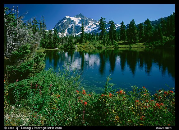 Mt Shuksan reflected in Picture Lake, mid-day. North Cascades National Park, Washington, USA.