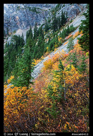Steep slopes in autumn, North Cascades National Park Service Complex. Washington, USA.