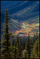 Fisher Creek in autumn, North Cascades National Park.  ( color)