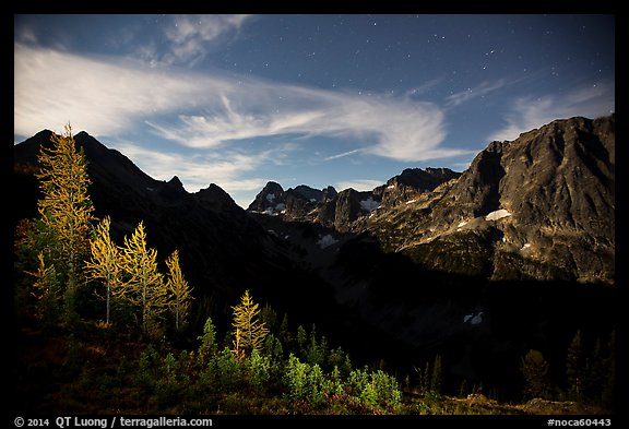 Larch trees and Fisher Creek cirque at night, North Cascades National Park.  (color)