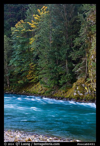Stream in autumn, Gorge Lake, North Cascades National Park Service Complex.  (color)