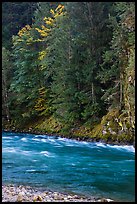 Stream in autumn, Gorge Lake, North Cascades National Park Service Complex.  ( color)