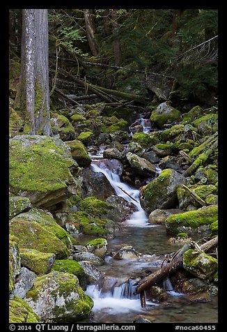 Creek with mossy boulders, North Cascades National Park Service Complex.  (color)