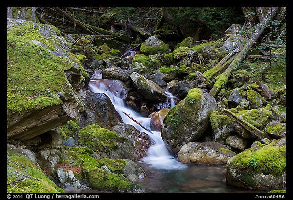 Creek flowing over mossy rocks, North Cascades National Park Service Complex.  (color)