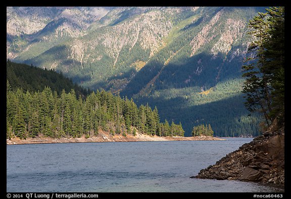 Water-level view of Ross Lake, North Cascades National Park Service Complex.  (color)
