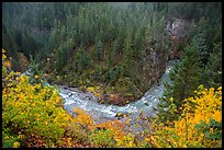 Bend of Agnes Creek from above in autumn, Glacier Peak Wilderness. Washington, USA.