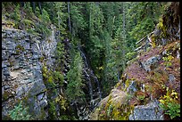 Waterfall, Agnes Gorge, Glacier Peak Wilderness.  ( color)