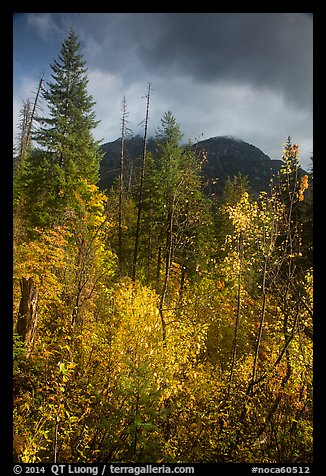 McGregor Mountain under dark sky in autumn, North Cascades National Park. Washington, USA.