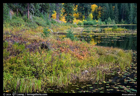 Lakeshore in autumn, Coon Lake, North Cascades National Park Service Complex.  (color)