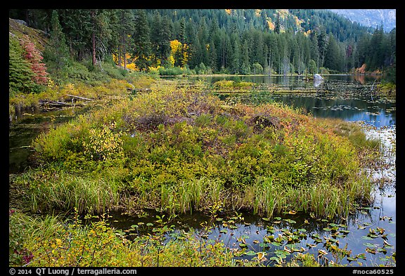 Coon Lake in the fall, North Cascades National Park Service Complex.  (color)