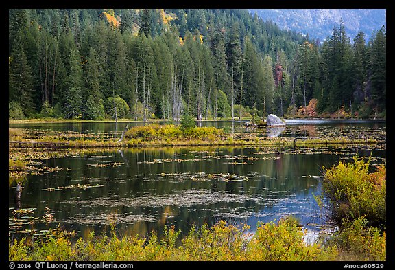 Coon Lake reflections, Stehekin, North Cascades National Park Service Complex.  (color)
