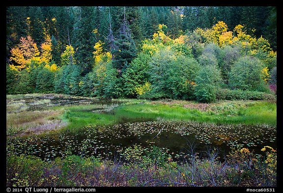 Pond in autumn, North Cascades National Park Service Complex. Washington, USA.