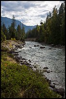 Stehekin River flows in Stehekin Valley, North Cascades National Park Service Complex.  ( color)