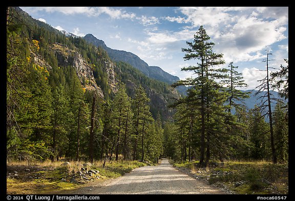 Road, Stehekin Valley, North Cascades National Park Service Complex. Washington, USA.