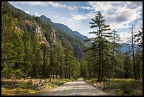 Road, Stehekin Valley, North Cascades National Park Service Complex.  ( color)
