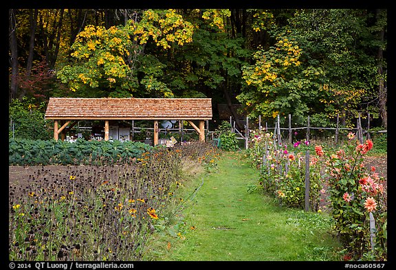 The garden, Stehekin, North Cascades National Park Service Complex. Washington, USA.
