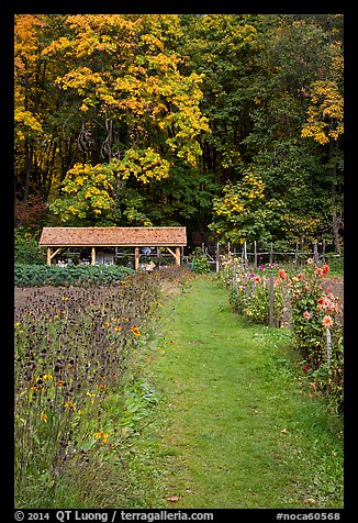 Organic garden, Stehekin, North Cascades National Park Service Complex. Washington, USA.