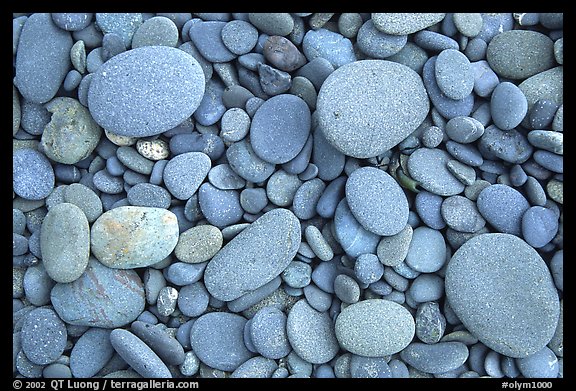 Round pebbles on beach. Olympic National Park, Washington, USA.