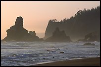 Sea stacks and arch on Shi-Shi Beach. Olympic National Park ( color)