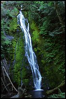Mossy waterfall , Elwha valley. Olympic National Park, Washington, USA.