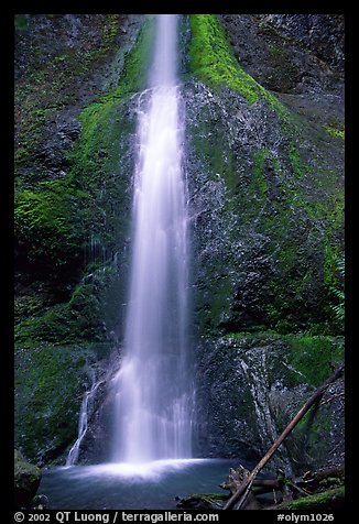 Marymere falls, spring. Olympic National Park (color)