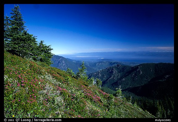 Looking the Strait of San Juan de Fuca from Hurricane hill. Olympic National Park