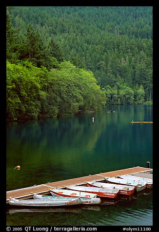 Small boats moored in emerald waters in Crescent Lake. Olympic National Park, Washington, USA.