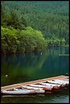 Small boats moored in emerald waters in Crescent Lake. Olympic National Park, Washington, USA. (color)