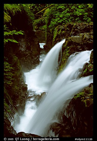 Sol Duc falls. Olympic National Park, Washington, USA.