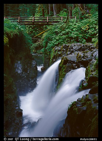 Sol Duc falls and wooden footbridge. Olympic National Park, Washington, USA.