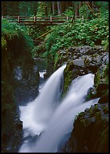 Sol Duc falls and wooden footbridge. Olympic National Park ( color)