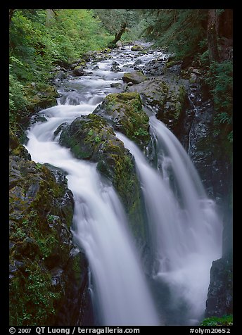 Sol Duc river and falls. Olympic National Park, Washington, USA.