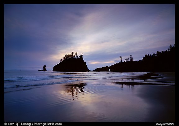 Seastacks reflected at sunset on wet sand, Second Beach. Olympic National Park, Washington, USA.