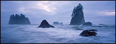 Misty seascape with sea stacks. Olympic National Park (Panoramic color)
