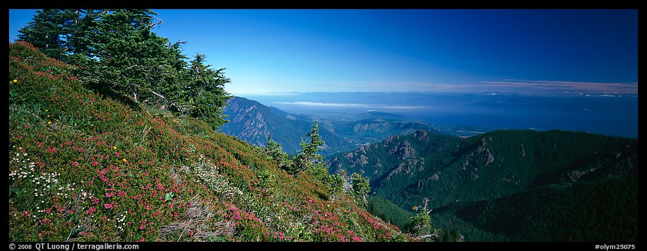View over marine straight from mountains. Olympic National Park, Washington, USA.