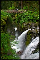 Sol Duc waterfall and bridge. Olympic National Park, Washington, USA.