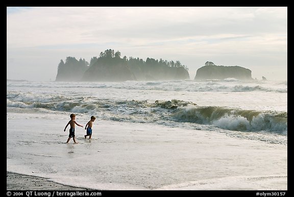 Children playing in water in front of sea stacks, Rialto Beach. Olympic National Park, Washington, USA.