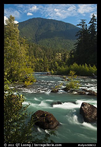 Elwha River. Olympic National Park (color)