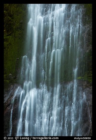 Marymere Falls close-up. Olympic National Park (color)