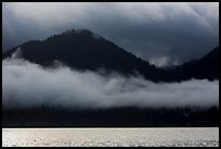 Fog hanging over shores of Lake Quinault. Olympic National Park ( color)