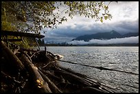 Lake Quinault from July Creek. Olympic National Park ( color)