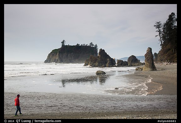 Visitor looking, Ruby Beach. Olympic National Park (color)