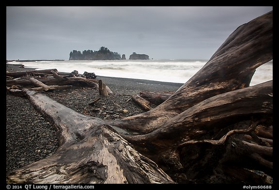 Driftwood and sea stacks in stormy weather, Rialto Beach. Olympic National Park (color)