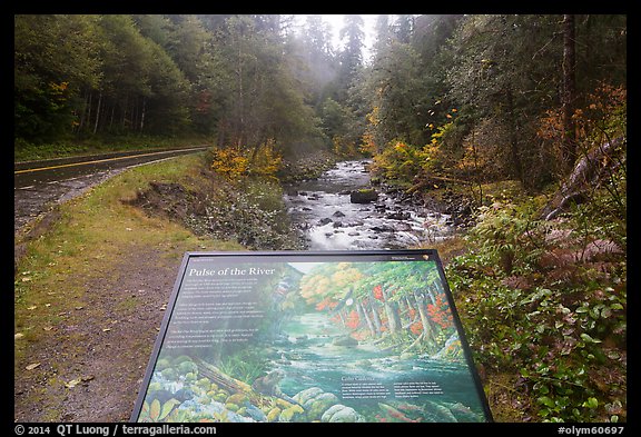 Sol Duc River interpretive sign. Olympic National Park, Washington, USA.