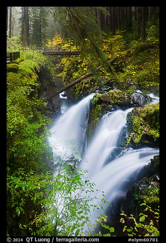 Sol Duc Falls and bridge in autumn. Olympic National Park (color)