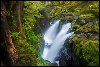 Soleduc Falls, gorge, and footbridge in autumn. Olympic National Park ( color)