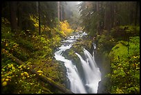 Sol Duc Falls in autumn. Olympic National Park, Washington, USA.